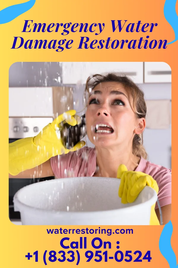 Emergency Water Damage Restoration in Fredonia, NY