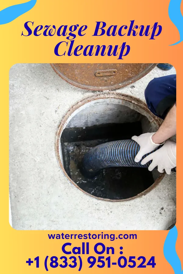 Sewage Backup Cleanup in Fredonia, NY
