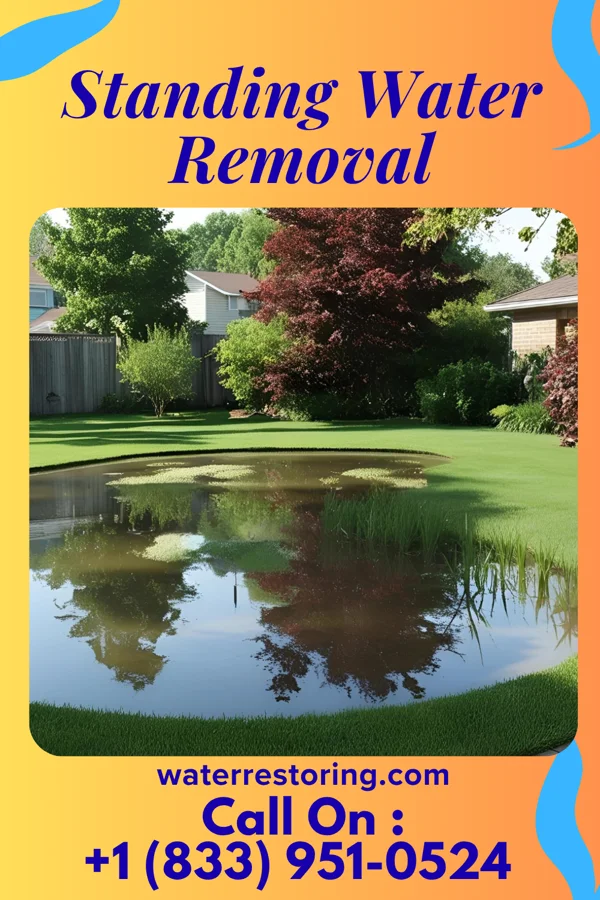 Standing Water Removal in Fredonia, NY